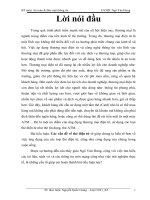 Các vấn đề về thẻ điện tử docx