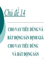 Chủ đề 14: Cho vay tiêu dùng và bất động sản định giá cho vay tiêu dùng và bất động sản pptx