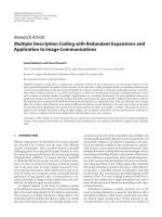 Báo cáo hóa học: 