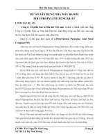 Bài tiểu luận: Quản trị dự án doc