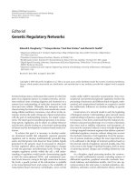 Báo cáo hóa học: 