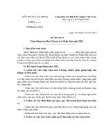 ban thanh tra nhân dân ppt