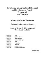 Báo cáo nghiên cứu khoa học 