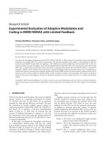 Báo cáo hóa học: 