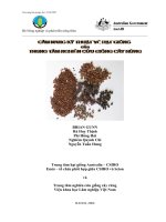 Cẩm nang kĩ thuật về hạt giống của Trung tâm nghiên cứu giống cây rừng doc