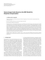 Báo cáo hóa học: 