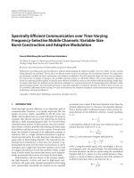 Báo cáo hóa học: 