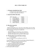 Báo cáo thực tập công nghệ sấy cà rốt pdf