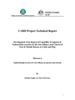 Báo cáo nghiên cứu khoa học 