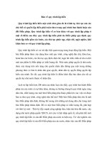 Bàn về quy trình lập hiến pptx