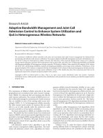 Báo cáo hóa học: 