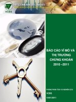 Báo cáo vĩ mô và thị trường chứng khoán 2010-2011 docx