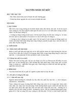 Nguyên nhân đỏ mắt pdf