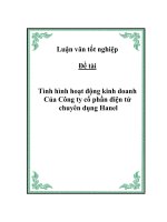 Đề tài: Tình hình hoạt động kinh doanh Công ty cổ phần điện tử chuyên dụng Hanel potx