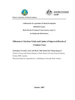 Báo cáo nghiên cứu khoa học 