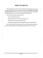 Tổng quan tài liệu về thực phẩm chức năng chống oxy hoá