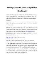 Trưởng nhóm: Để thành công khi làm việc nhóm (1) pdf