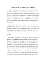 Người đại biểu dân cử ở địa phương với vai trò giám sát potx