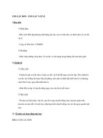 CON LẮC ĐƠN - CON LẮC VẬT LÍ pdf