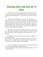 Thưởng thức loài hoa nở về đêm pptx