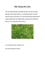 Hội chứng tiêu chảy doc