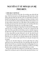 NGUYÊN LÝ VỀ MỐI QUAN HỆ PHỔ BIẾN pdf