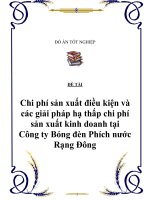 Đề tài: “Chi phí sản xuất điều kiện và các giải pháp hạ thấp chi phí sản xuất kinh doanh tại Công ty Bóng đèn Phích nước Rạng Đông” pot