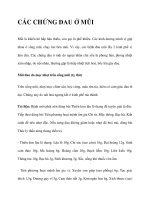 CÁC CHỨNG ĐAU Ở MŨI ppt