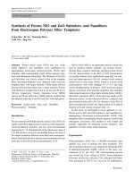 Báo cáo hóa học: 