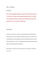 Noise – vỡ hạt ảnh BlackMask pdf