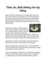 Thức ăn, dinh dưỡng cho tép kiểng docx