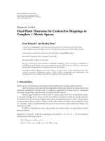 Báo cáo hóa học: 