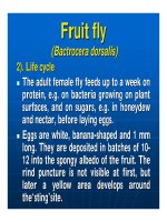 Báo cáo nghiên cứu khoa học 