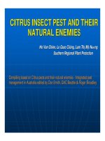 Báo cáo nghiên cứu khoa học 