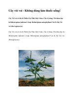 Cây vòi voi - Không dùng làm thuốc uống! ppt