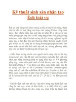 Kỹ thuật sinh sản nhân tạo Ếch trái vụ pot