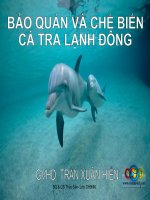 BAI BAO CAO CA TRA doc