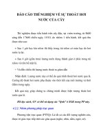 BÁO CÁO THÍ NGHIỆM VỀ SỰ THOÁT HƠI NƯỚC CỦA CÂY potx