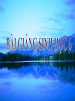 Bài giảng sinh học 6 potx