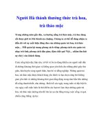 Người Hà thành thưởng thức trà hoa, trà thảo mộc ppt