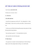 KỸ THUẬT GIEO ƯƠM BẠCH ĐÀN ĐỎ doc