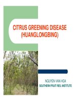 Báo cáo nghiên cứu khoa học 