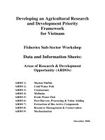 Báo cáo nghiên cứu khoa học 