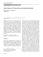 Báo cáo hóa học: 