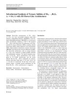 Báo cáo hóa học: 