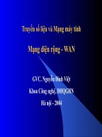 mạng diện rộng wan