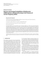 Báo cáo hóa học: 