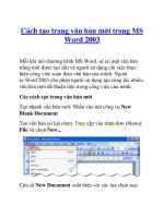 Cách tạo trang văn bản mới trong MS Word 2003 doc
