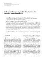 Báo cáo hóa học: 