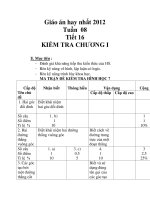 Giáo án hay nhất 2012 Tuần 08 Tiết 16 KIỂM TRA CHƯƠNG I pot